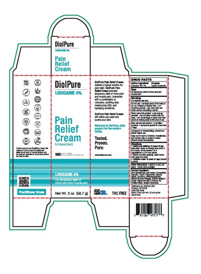 Pain Cream Lidocaine Box Artwork-page-001.jpg 1 - Pain Cream Lidocaine Box Artwork page 001